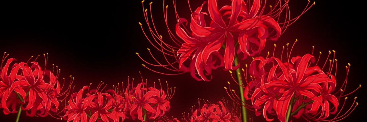 anyhcx's profile banner image