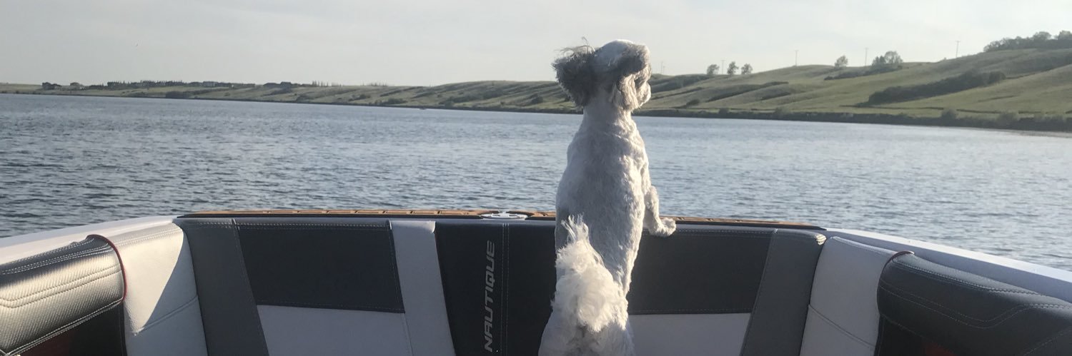 TopShelfDanny's profile banner image