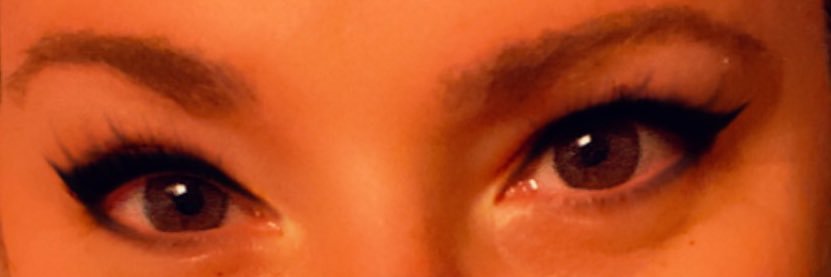 Donna  Norton Perry banner