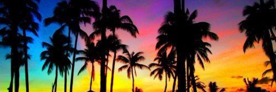 KimLewis91's profile banner image