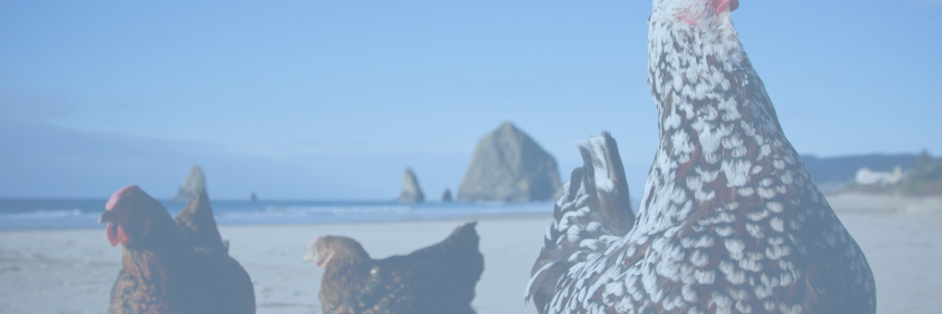 graceefarnum's profile banner image