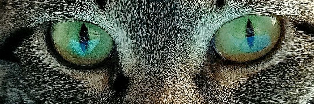 MrSkrux's profile banner image