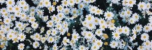 Littlemessmess's profile banner image
