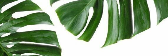 Antomore99's profile banner image