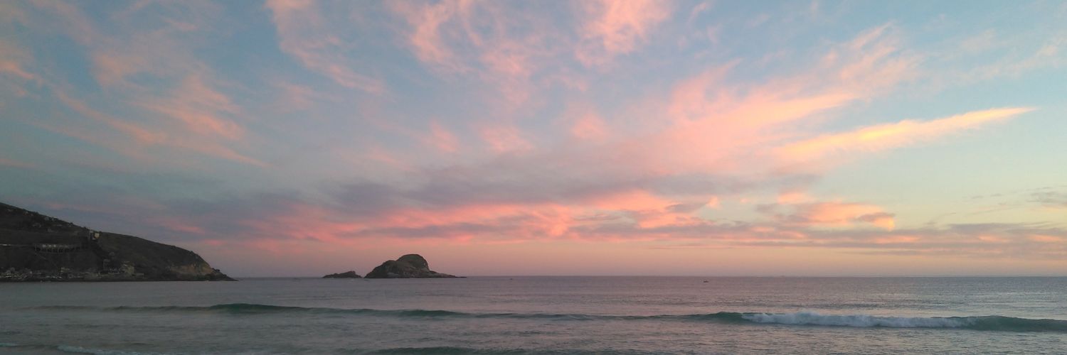 danicherry4's profile banner image