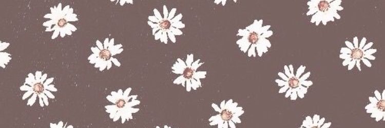 ally_youngquist's profile banner image