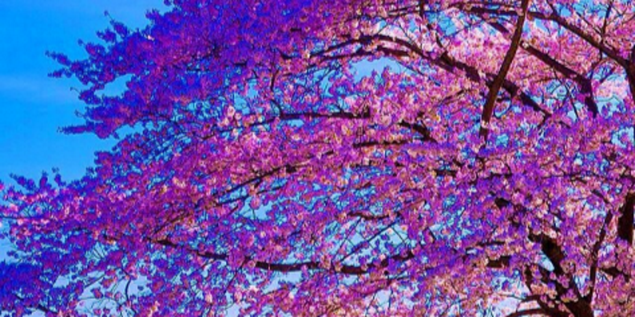 CHHM0517's profile banner image