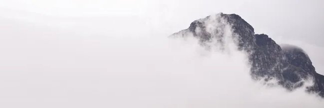 John Predn banner