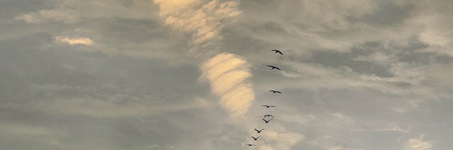 cbastidasn's profile banner image