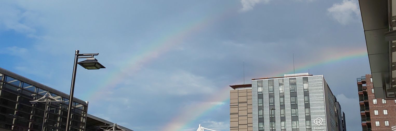 ともも太郎(とも)@プリン狂🍮 banner