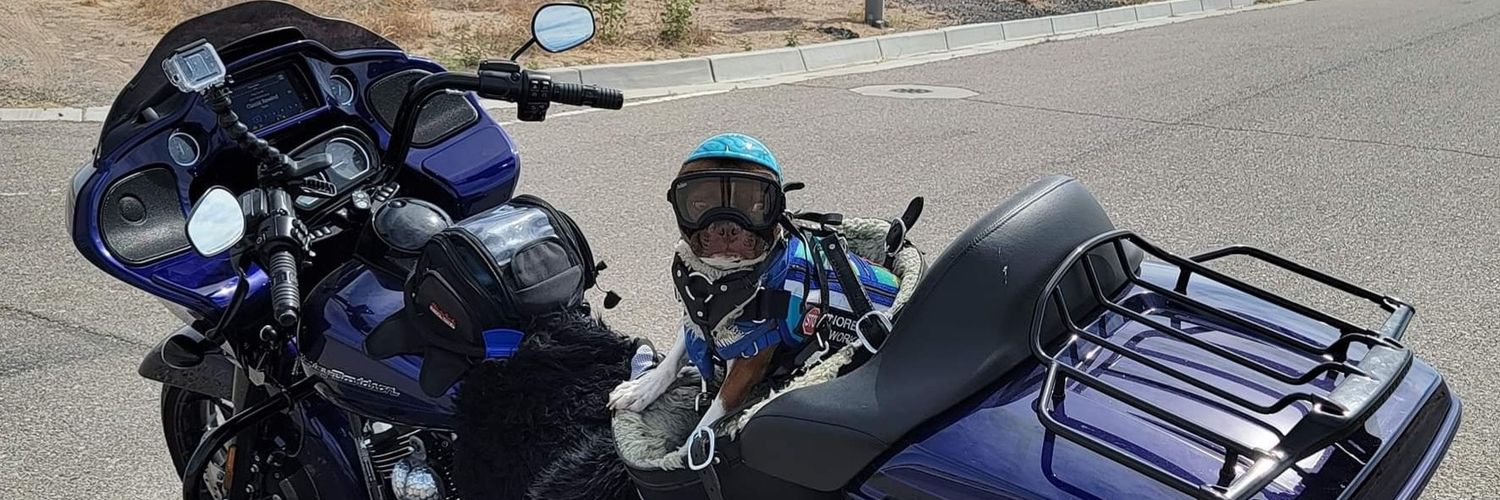 hriggs65's profile banner image