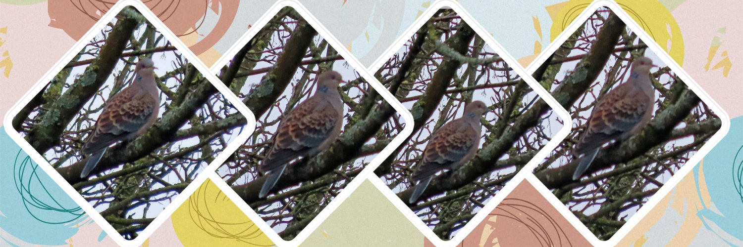 Brian E.Carruthers banner