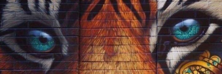 senia_loriTT's profile banner image