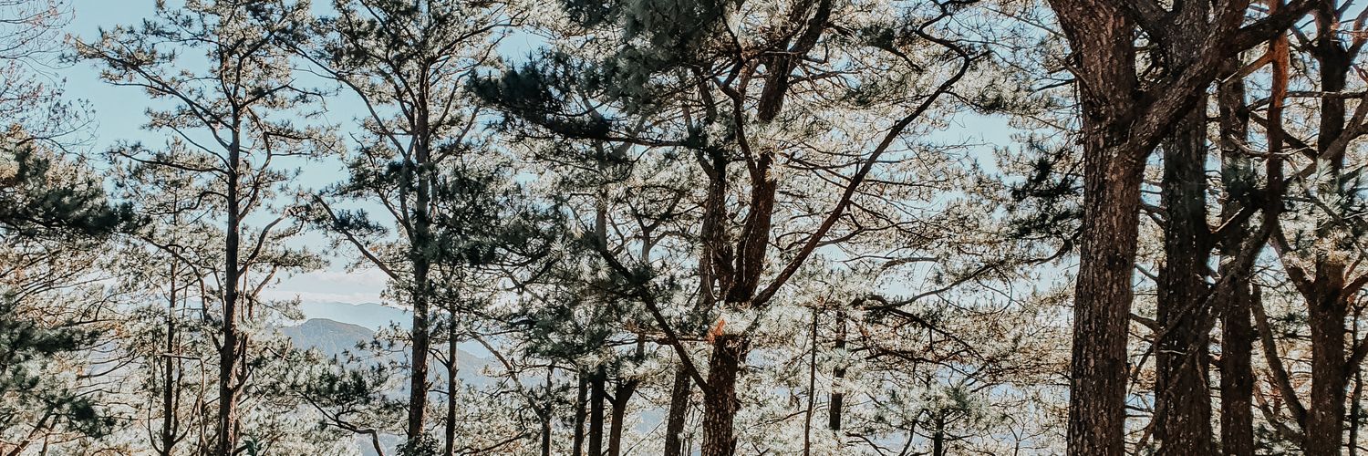 trulyyourstrina's profile banner image