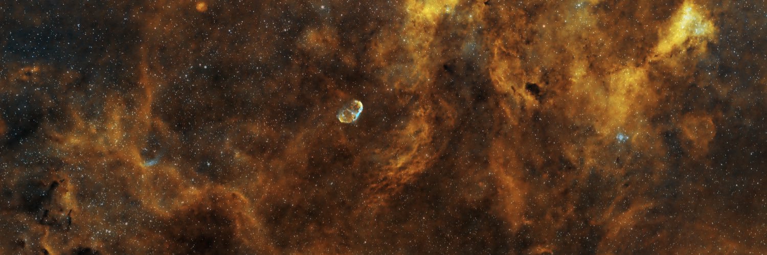 Shraddha Pai, PhD banner