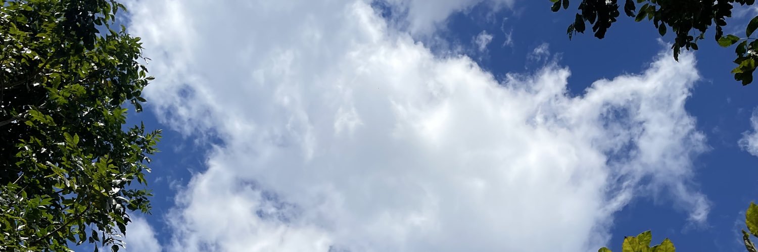 kvmxnn's profile banner image