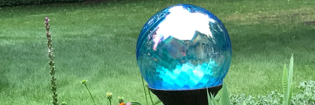 botasha's profile banner image