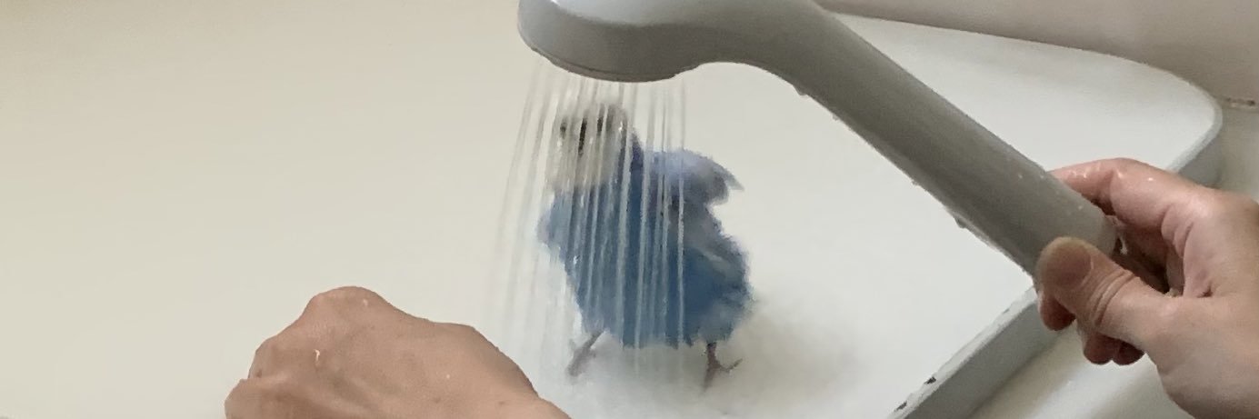 doritton's profile banner image
