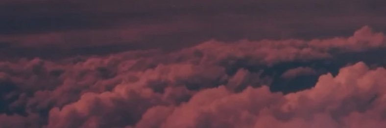 elise banner