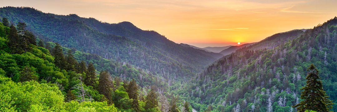 David Sutterer banner