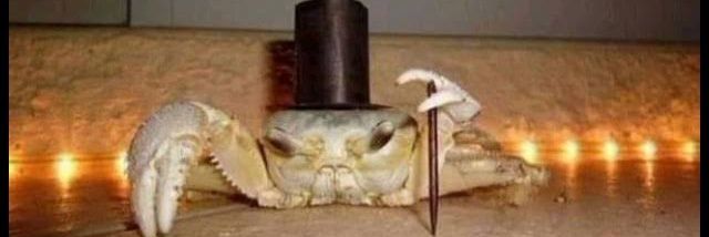 ElcompaSabinense banner