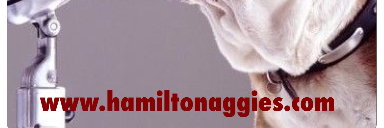 aggiecorner's profile banner image