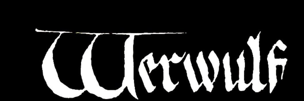 V-TWIN⚔️ banner