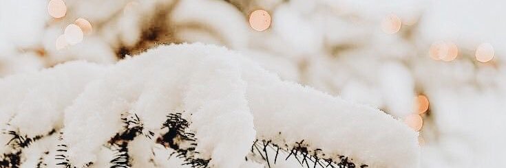 User not found banner