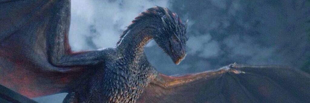 Drogon banner