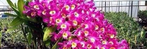 mkaur5148's profile banner image
