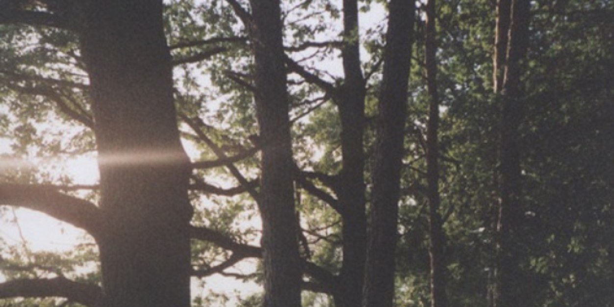 comunali_'s profile banner image