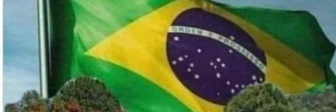 joseasilva10's profile banner image