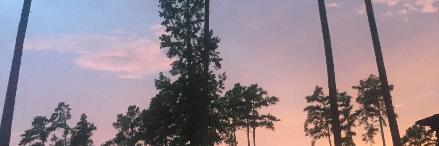 ShyonScott's profile banner image