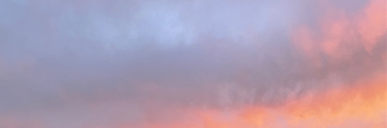Zergiales's profile banner image
