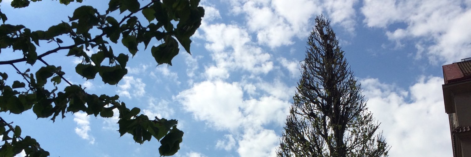 Lettestad's profile banner image