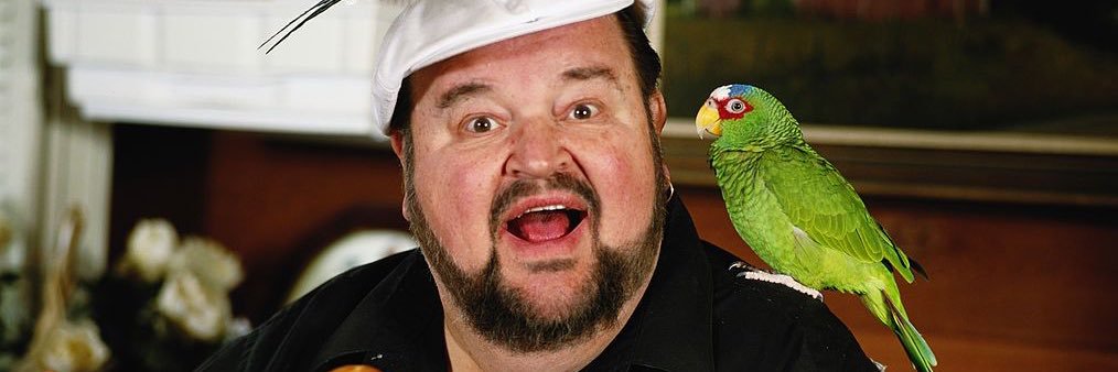 freddyscott's profile banner image