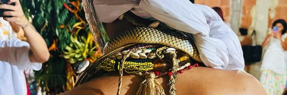 sua cartomante favorita ⚕️ banner