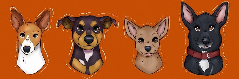 vundacast's profile banner image