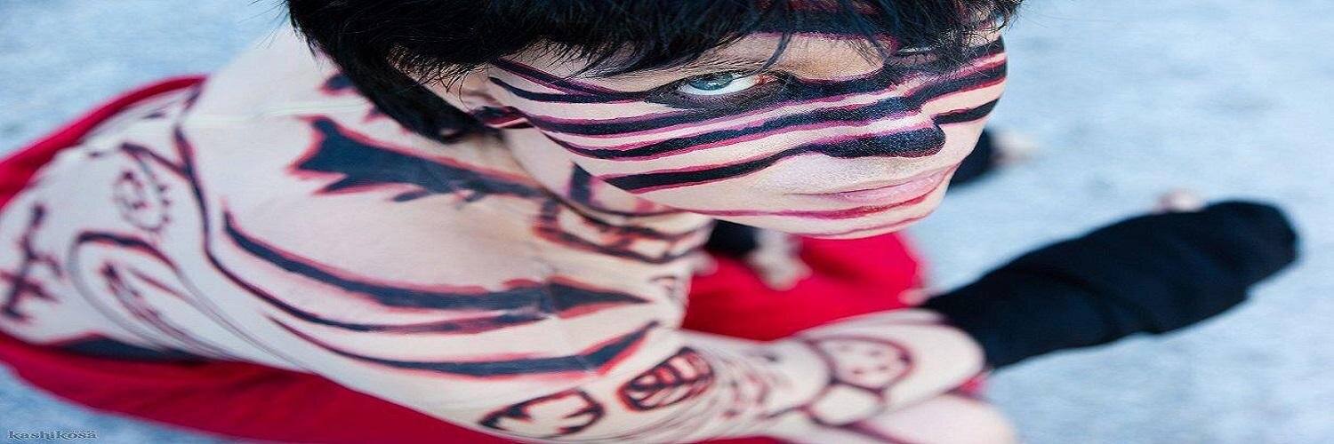 Stefan Schubert banner