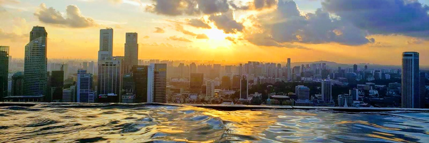 Tony Palocaren banner