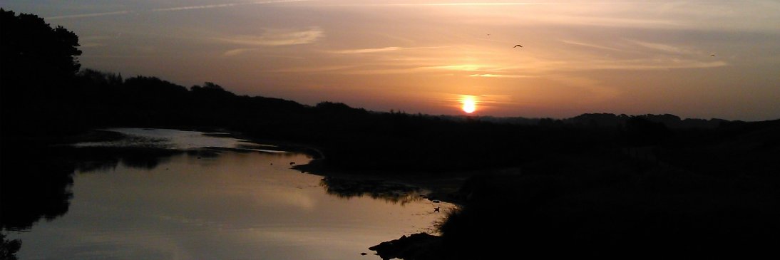 CoppolaMaya's profile banner image