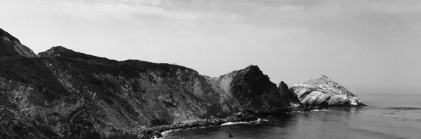 allen_hutchison Profile Banner