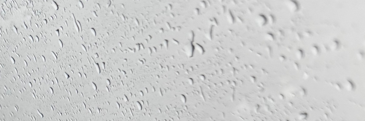 mimolek14's profile banner image