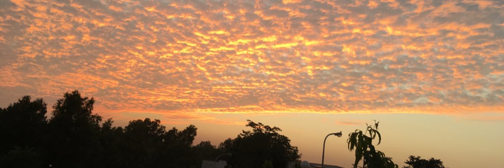 CS_Haokip's profile banner image