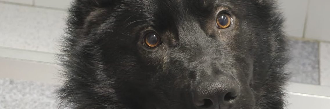 massone59's profile banner image