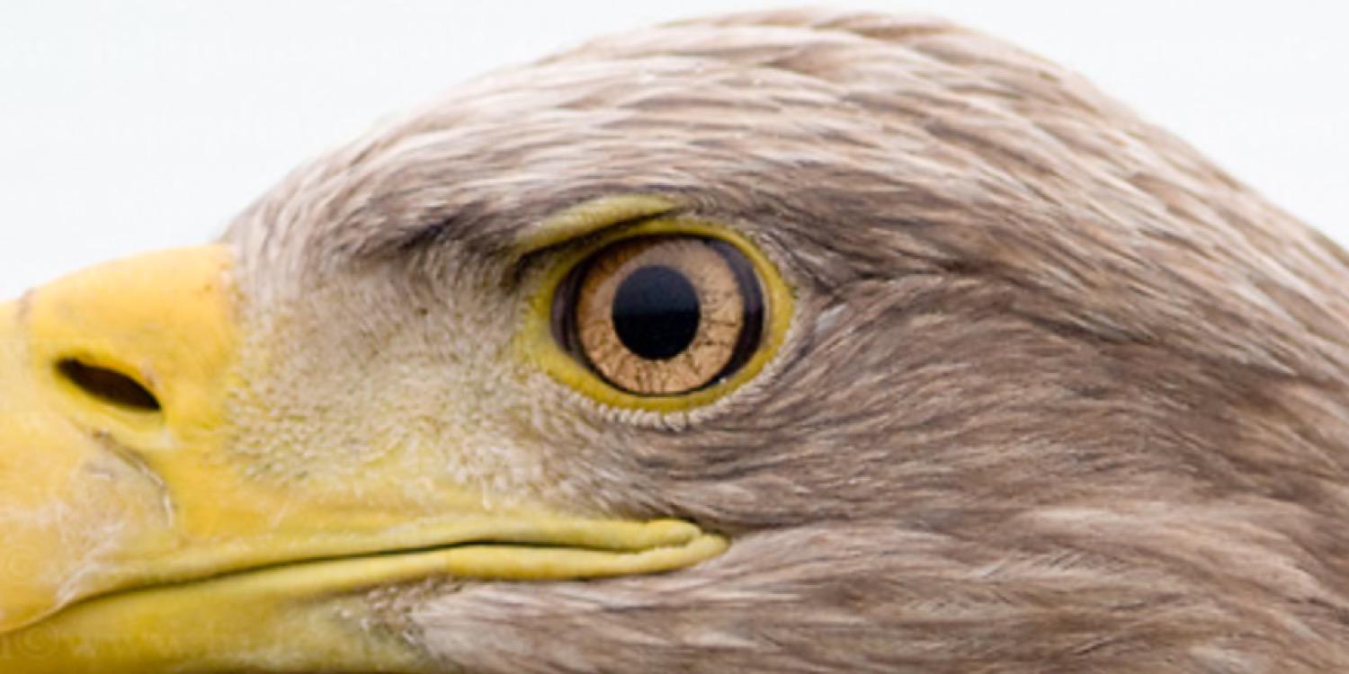 Mgwjambo's profile banner image