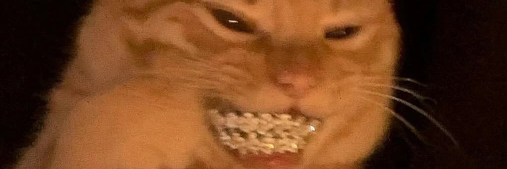 jazzctny's profile banner image