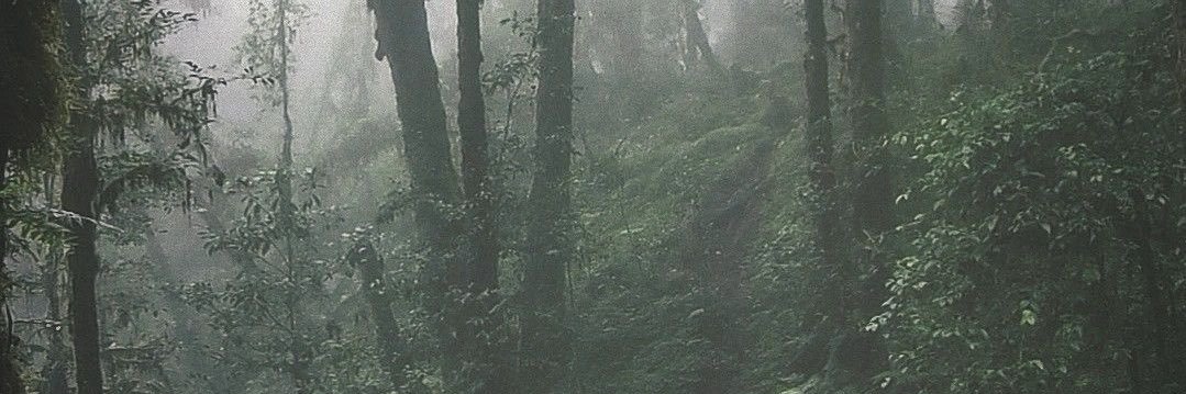 Trax1895's profile banner image