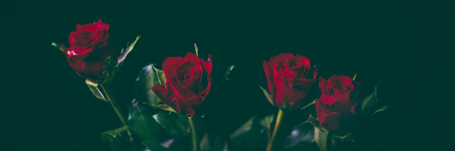 Meraj1111's profile banner image