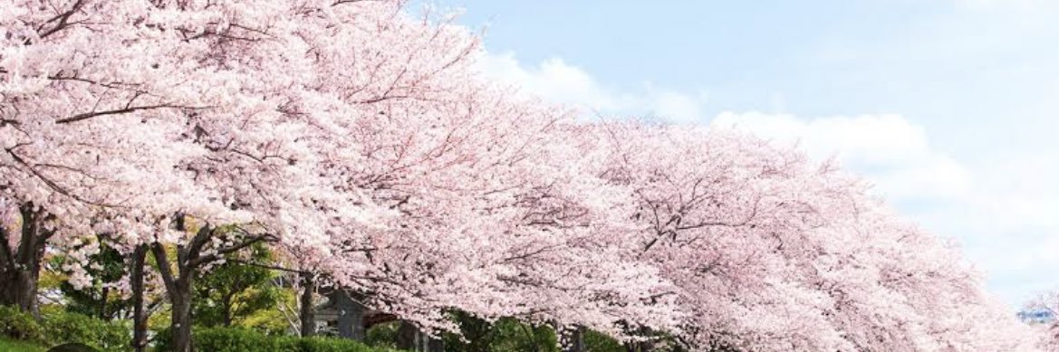 toru_3210's profile banner image